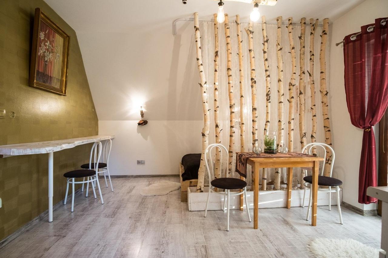 Apartamenty Magiczny Kacik ポロニン エクステリア 写真