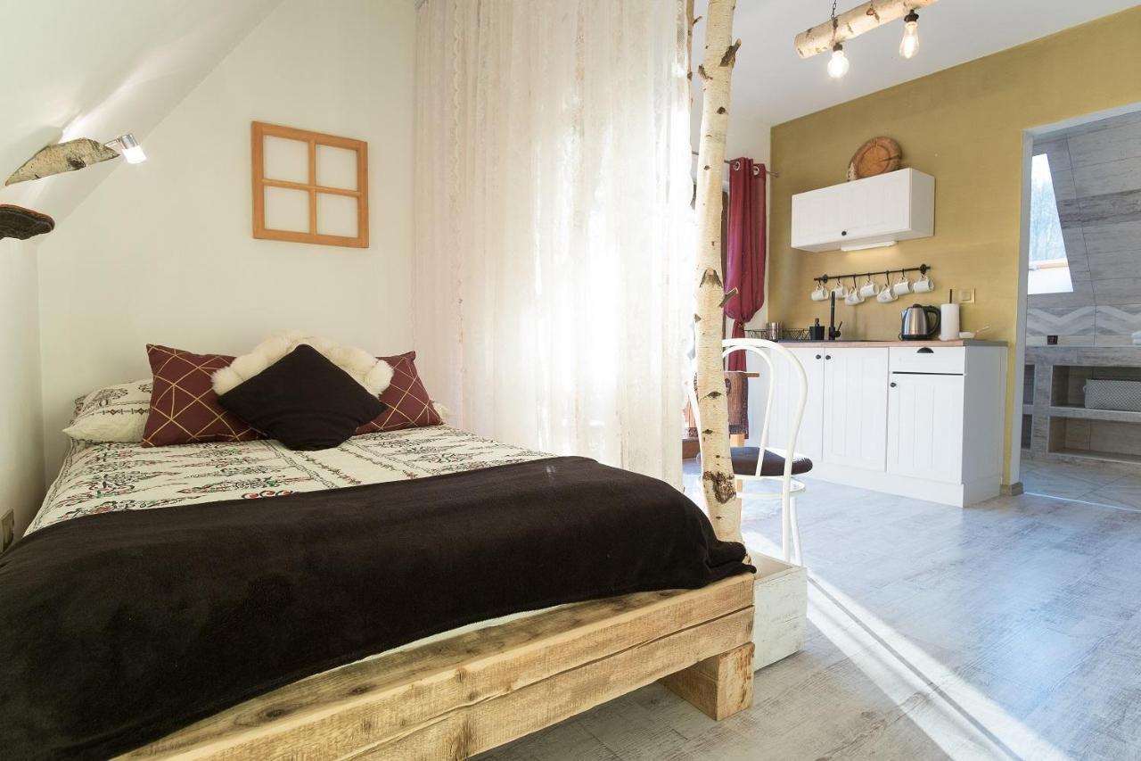 Apartamenty Magiczny Kacik ポロニン エクステリア 写真