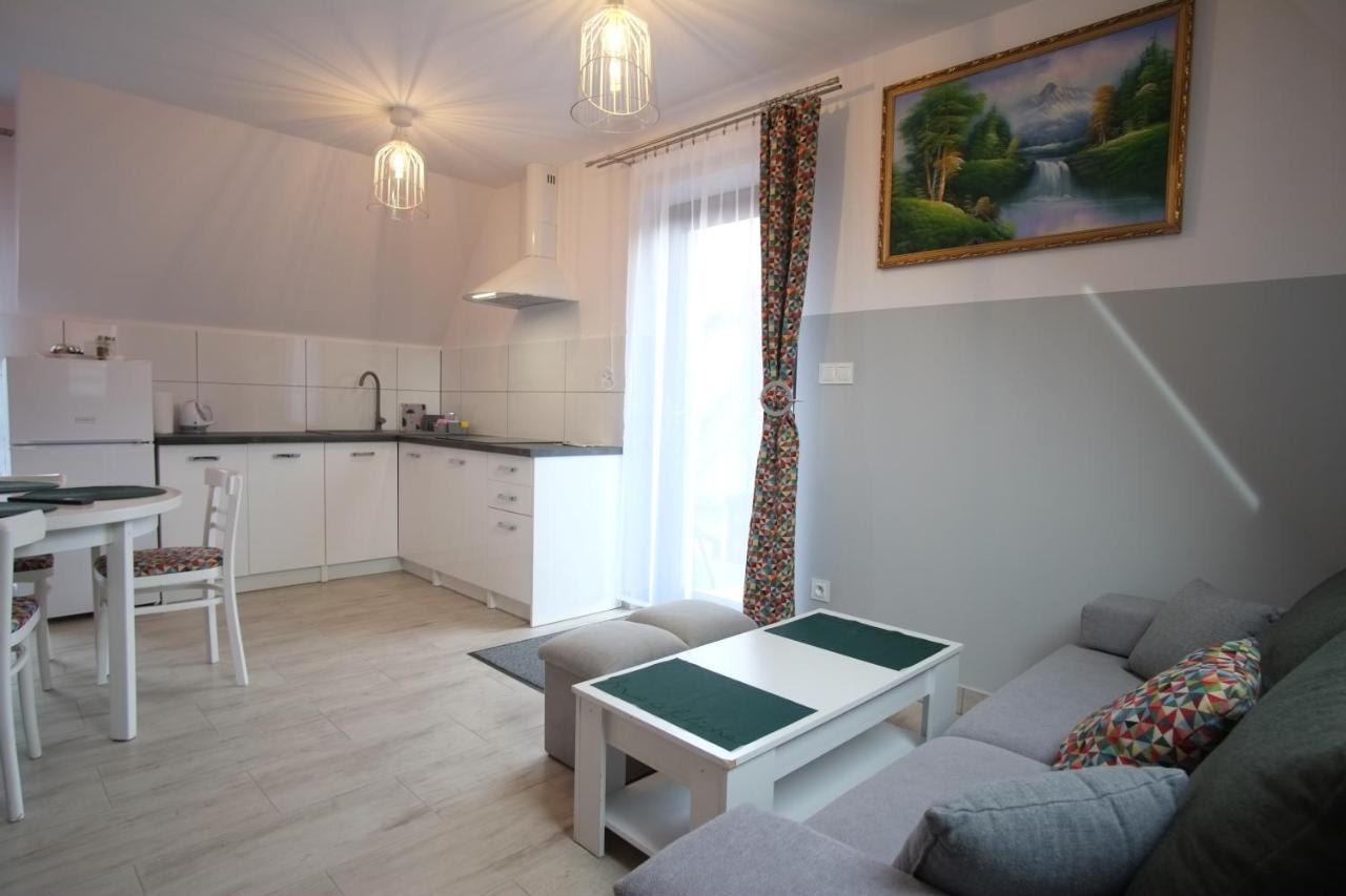 Apartamenty Magiczny Kacik ポロニン エクステリア 写真