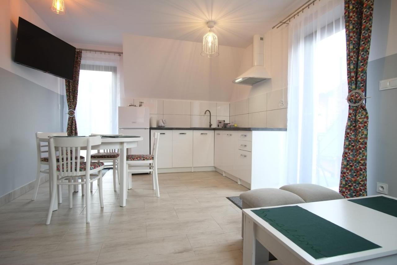 Apartamenty Magiczny Kacik ポロニン エクステリア 写真
