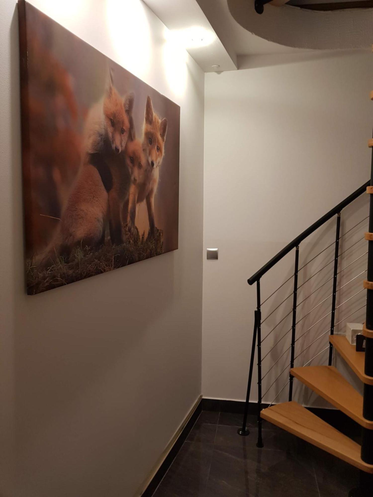 Apartamenty Magiczny Kacik ポロニン エクステリア 写真