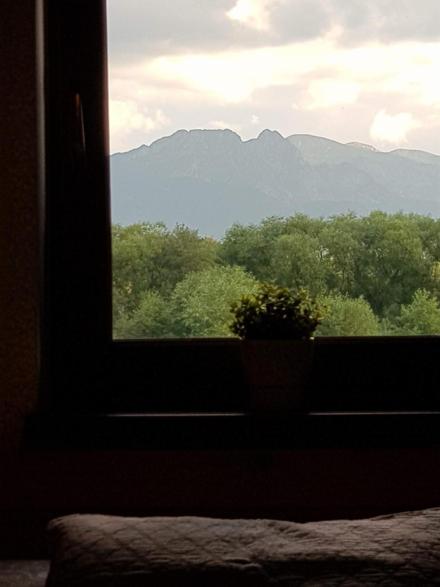 Apartamenty Magiczny Kacik ポロニン エクステリア 写真
